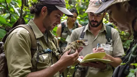 Twee buideldieren herontdekt in Nieuw-Guinea na 6.000 jaar verdwenen te zijn, volgens onderzoekers.